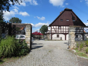 The Blue Beetroot, Bolesławiec